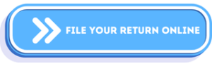 File your return online